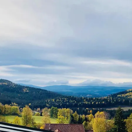 Otel Natura - Inkl Soft- Und Heissgetraenkeflat Bodenmais