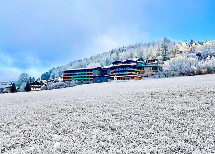 Hotel Natura - Inkl Soft- Und Heißgetränkeflat Bodenmais