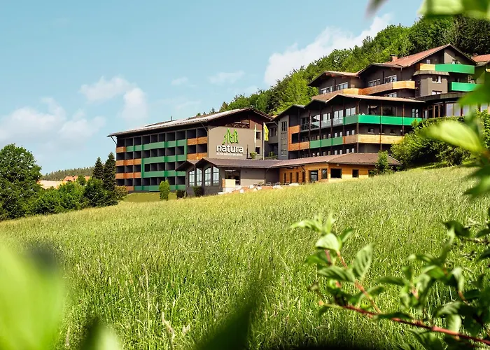 Natura - Inkl Soft- Und Heißgetränkeflat Bodenmais